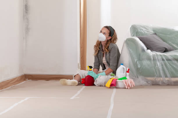 Reliable Mold Remediation contractor in Hainesport, NJ by Cheap Mold Removal